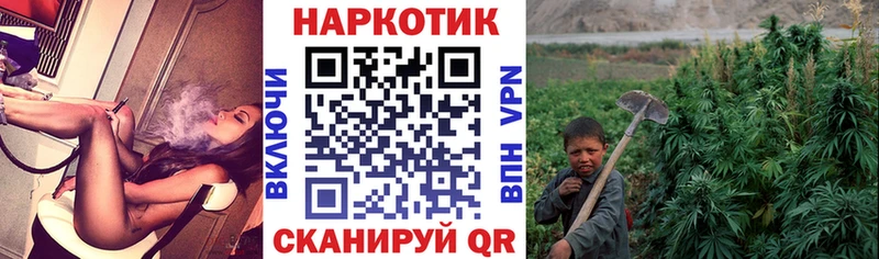 Какие есть наркотики Зеленоградск Кокаин АМФ Меф ГАШ Бошки Шишки