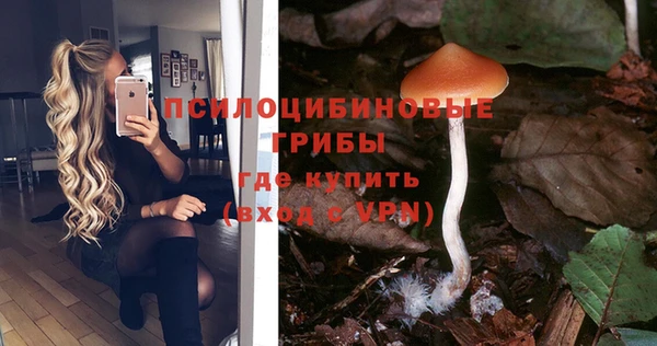 прущий лед Алзамай